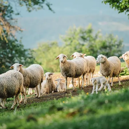 Farmház Eco Tourist Farm Ravnjak Slovenj Gradec