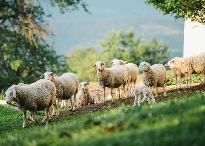 Фермерский дом Eco Tourist Farm Ravnjak Словень-Градец